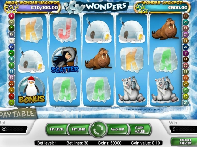 Icy Wonders